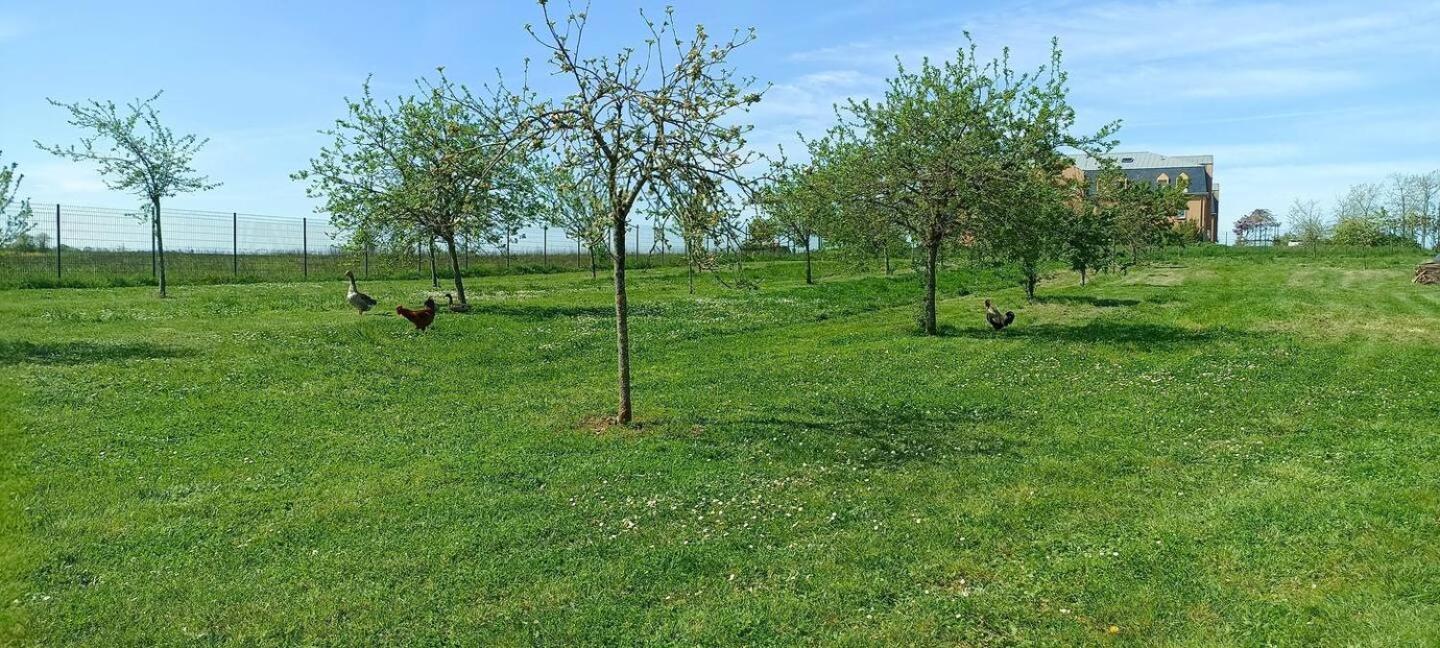Le Domaine Du Chateau Varennes-les-Narcy Eksteriør bilde